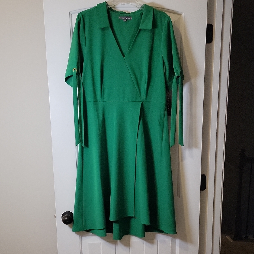 Sharagano Green Long Sleeve Dress